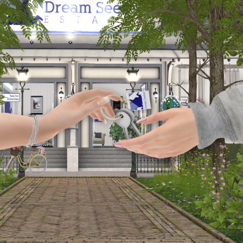 DSE In-World Store